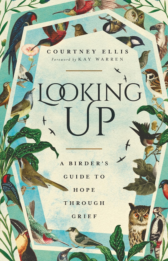 Book cover for Looking Up
