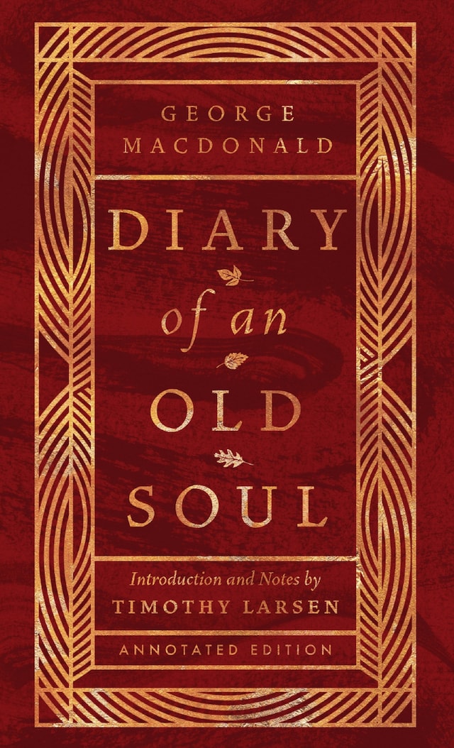 Book cover for Diary of an Old Soul