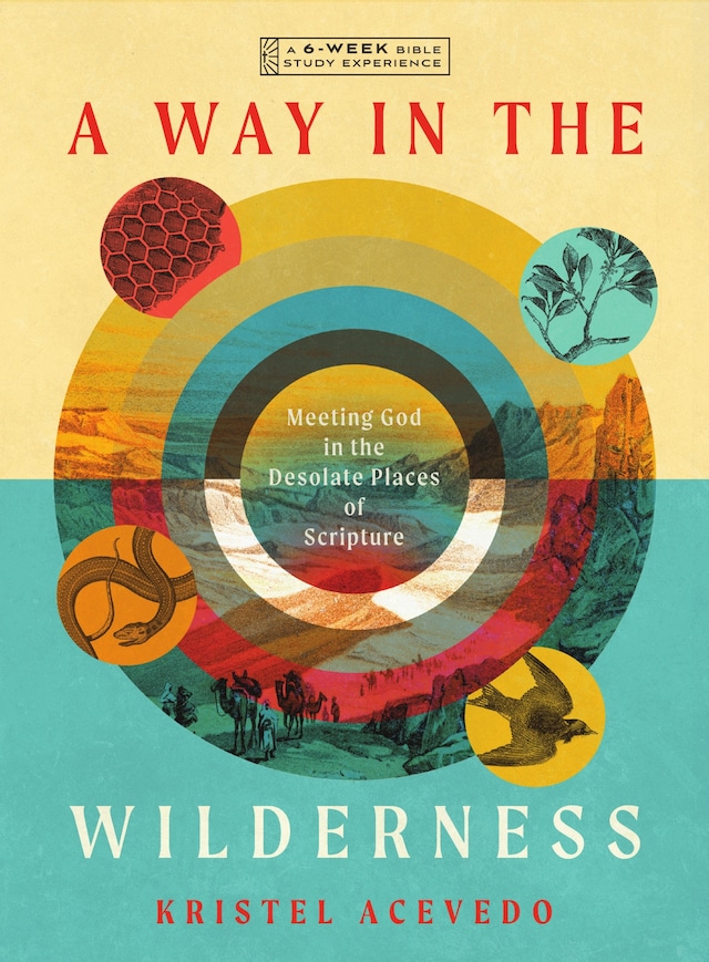 Book cover for A Way in the Wilderness