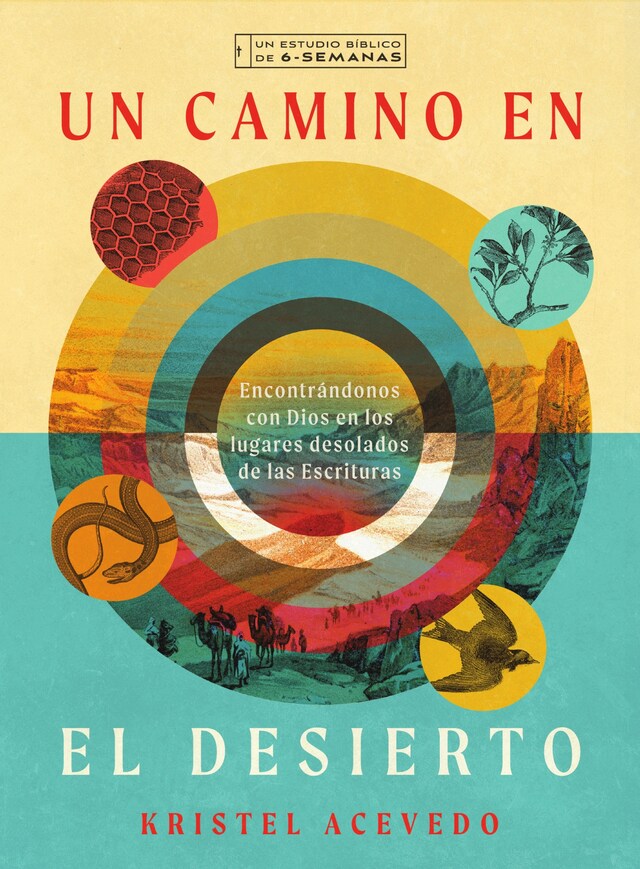 Book cover for Un camino en el desierto