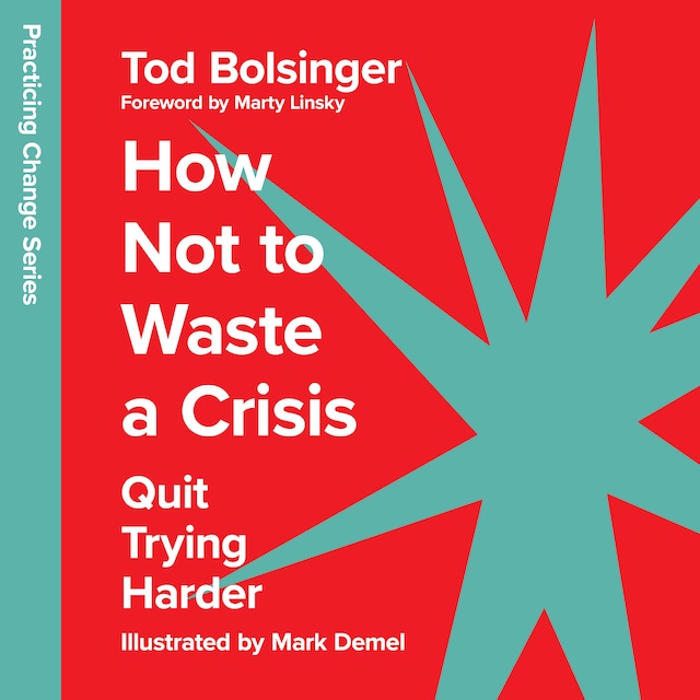 Couverture de livre pour How Not to Waste a Crisis