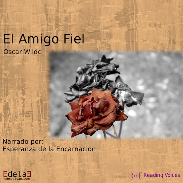 Book cover for El amigo fiel