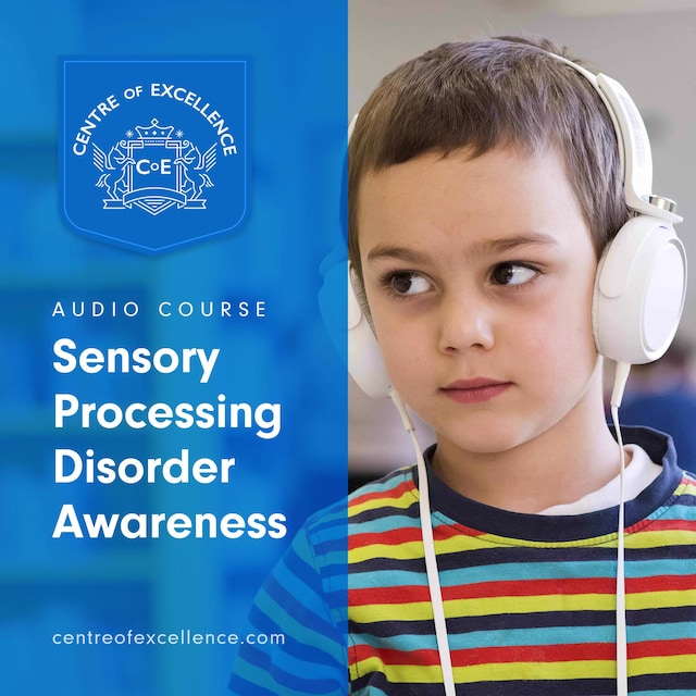 Boekomslag van Sensory Processing Disorder Awareness
