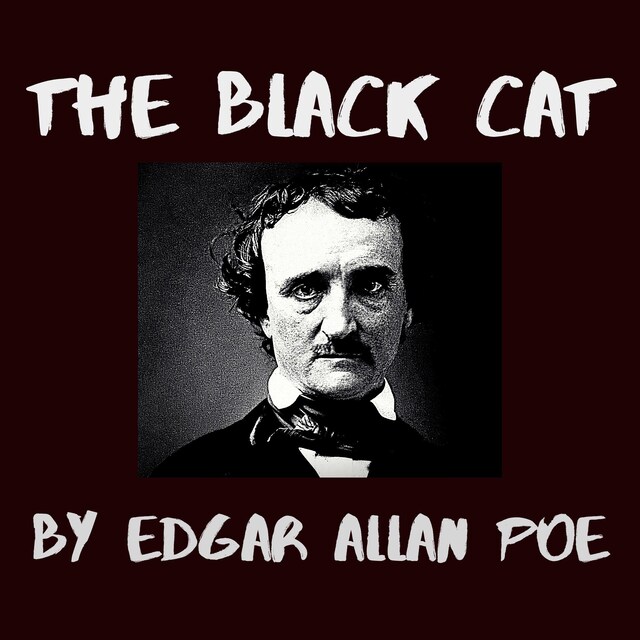 Book cover for The Black Cat