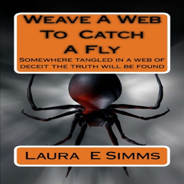Buchcover für Weave A Web to Catch A Fly
