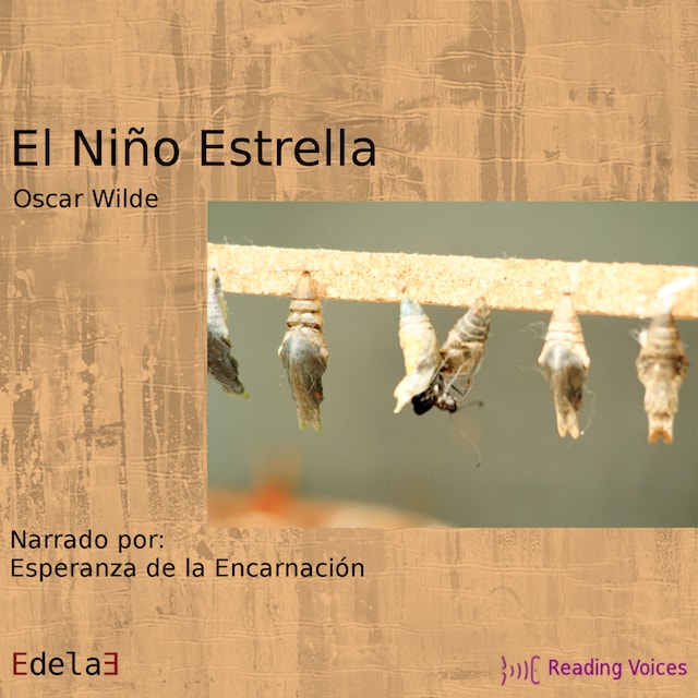 Book cover for El niño estrella