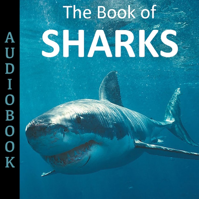 Bogomslag for The Book of Sharks