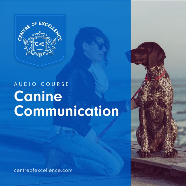 Book cover for Canine Communication