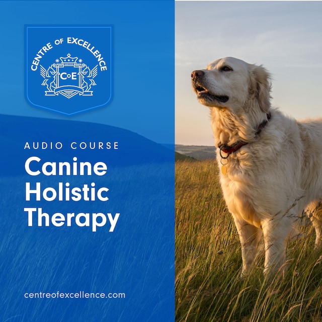Book cover for Canine Holistic Therapy
