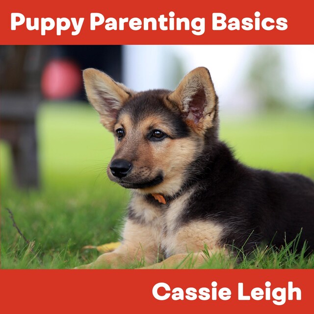 Buchcover für Puppy Parenting Basics