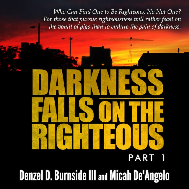 Book cover for Darkness Falls On The Righteous