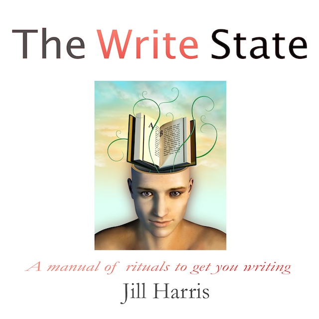 Book cover for The Write State