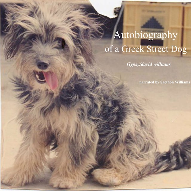 Book cover for Autobiography of a Greek Street Dog