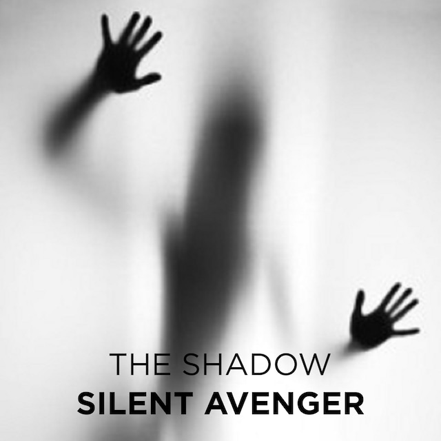 Buchcover für Silent Avenger