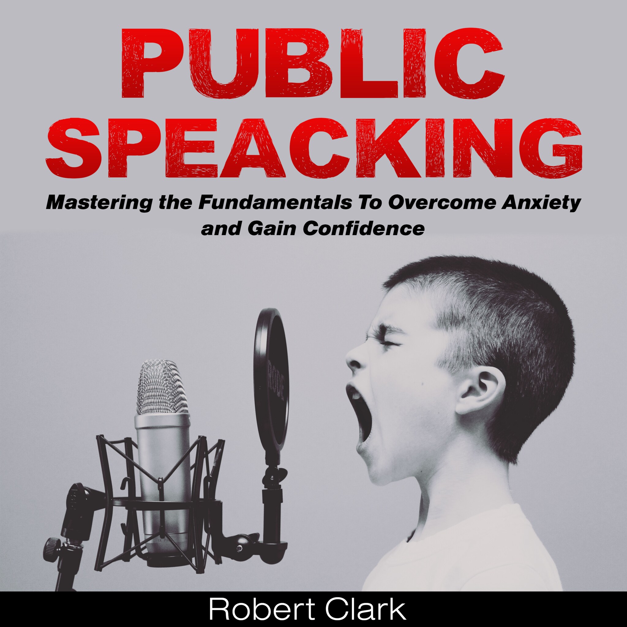 Public Speaking: Mastering the Fundamentals To Overcome Anxiety and Gain Confidence ilmaiseksi