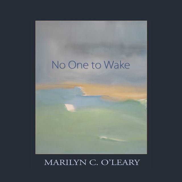 Book cover for No One to Wake