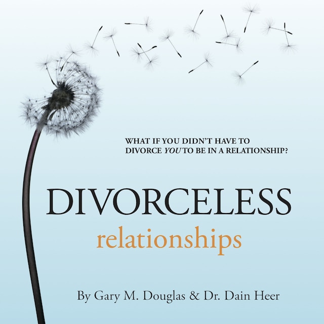 Book cover for Divorceless Relationships