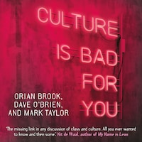 Culture is bad for you - Inequality in the cultural and creative industries (unabridged)