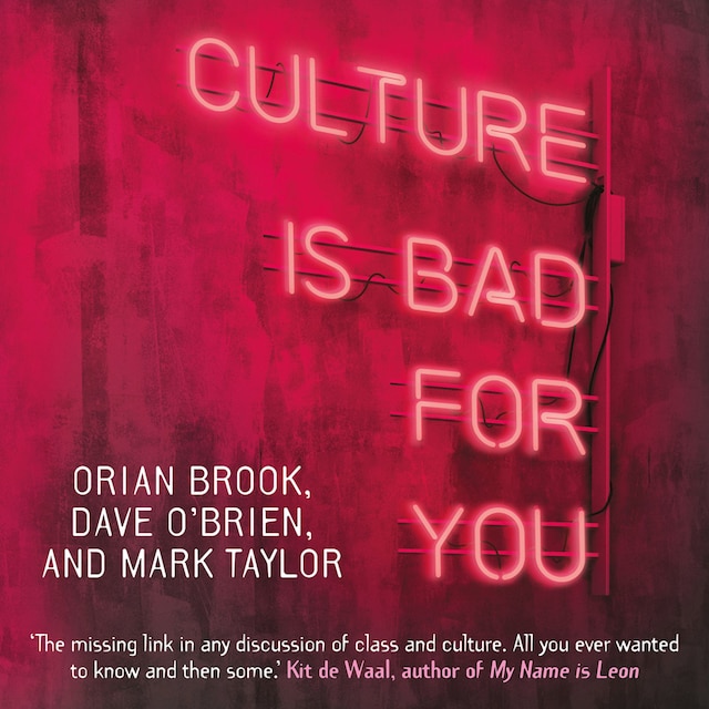 Bogomslag for Culture is bad for you - Inequality in the cultural and creative industries (unabridged)