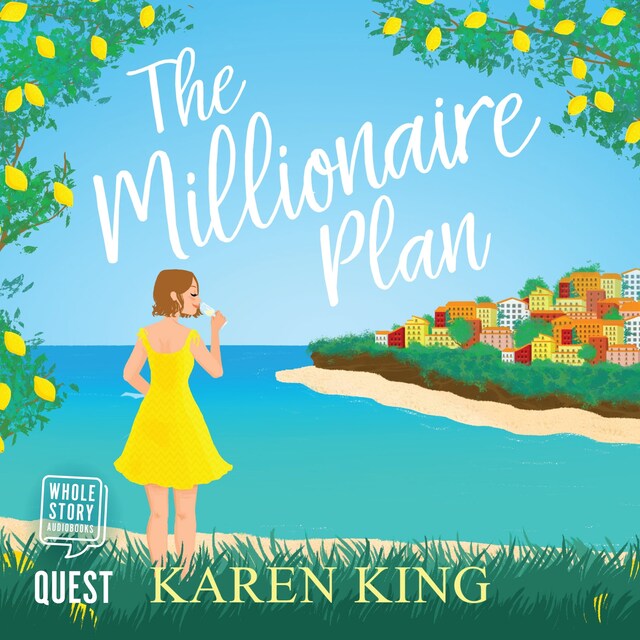 Book cover for The Millionaire Plan