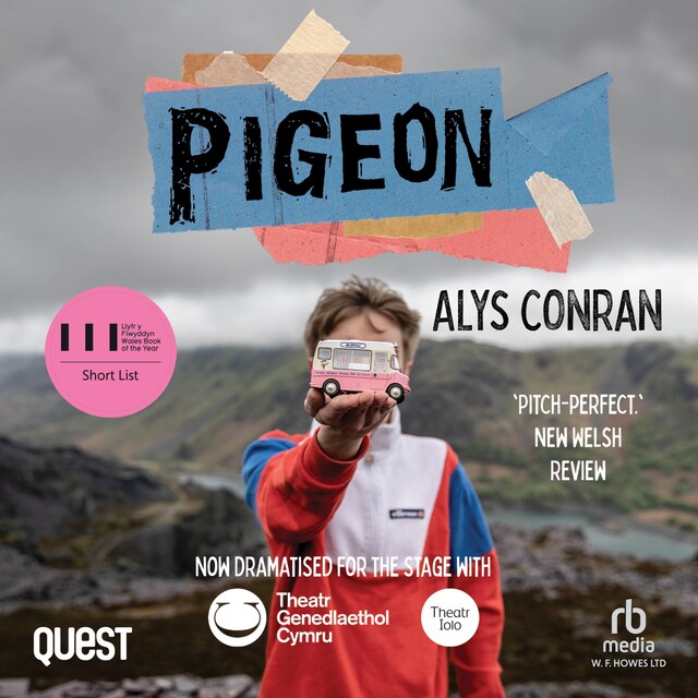 Book cover for Pigeon