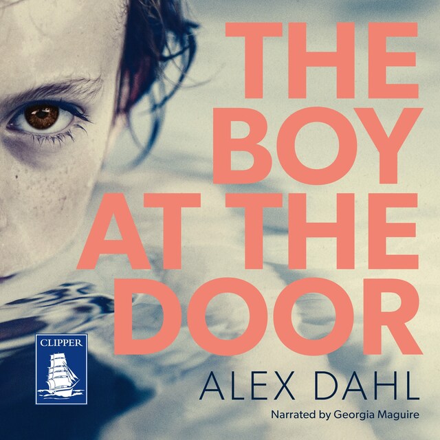 Book cover for The Boy at the Door