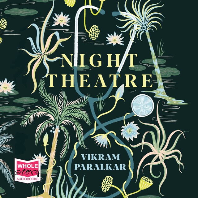 Book cover for Night Theatre