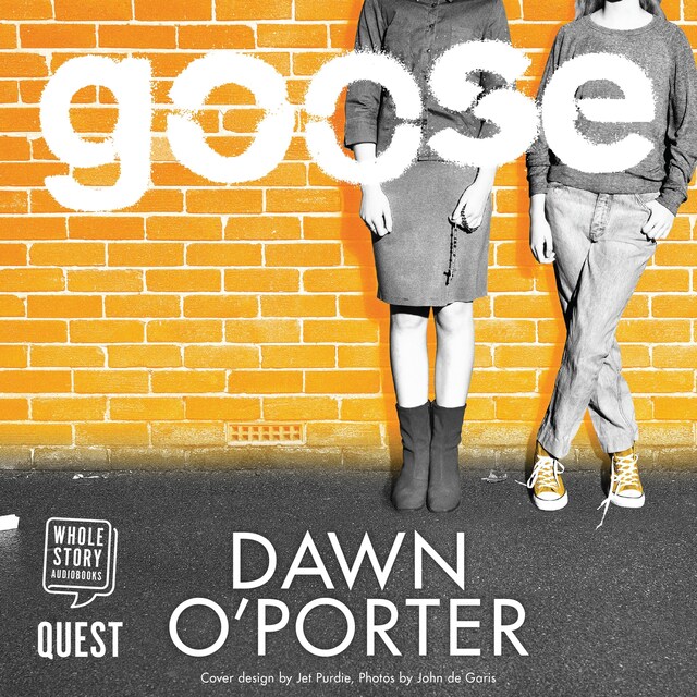 Book cover for Goose