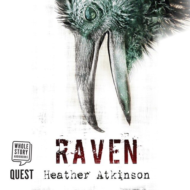 Book cover for Raven