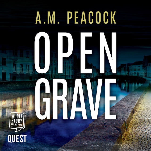 Book cover for Open Grave