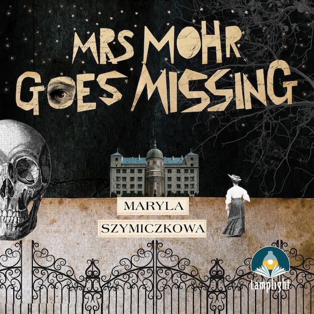 Book cover for Mrs Mohr Goes Missing