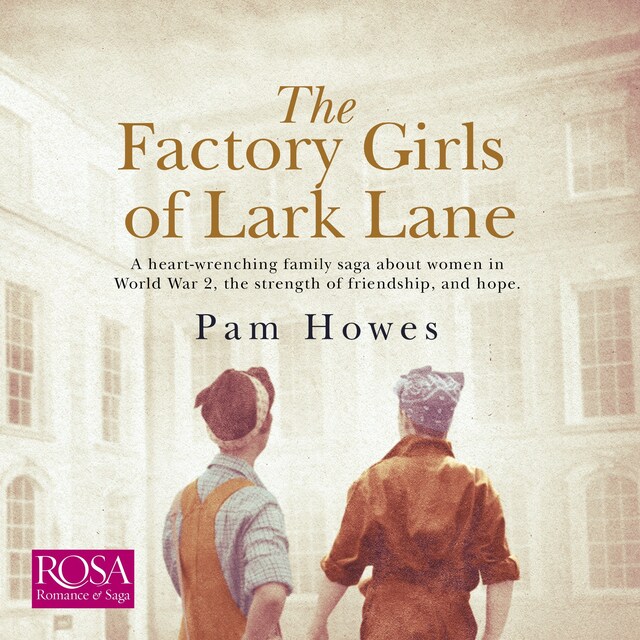 Book cover for The Factory Girls of Lark Lane