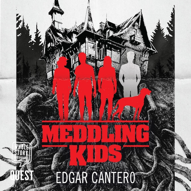 Book cover for Meddling Kids