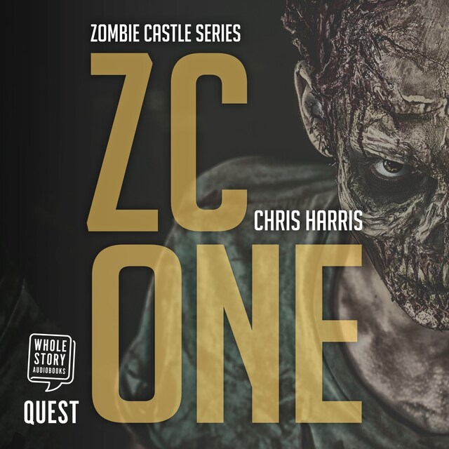 Book cover for ZC One