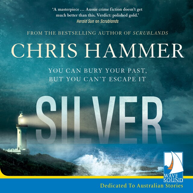 Book cover for Silver