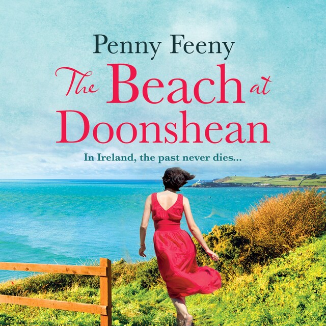 Book cover for The Beach at Doonshean