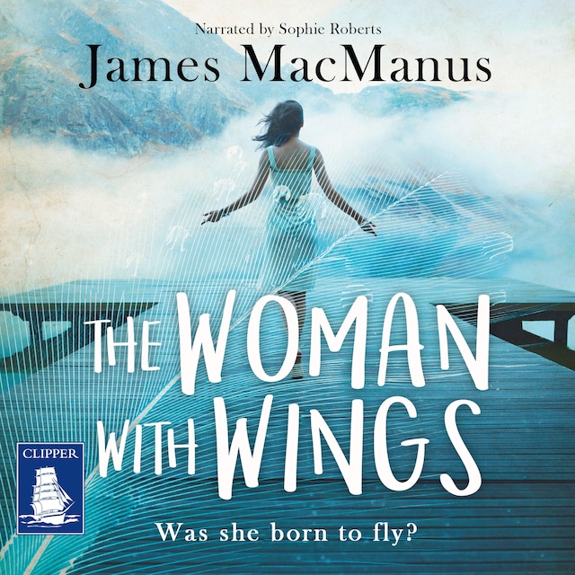 Book cover for The Woman With Wings