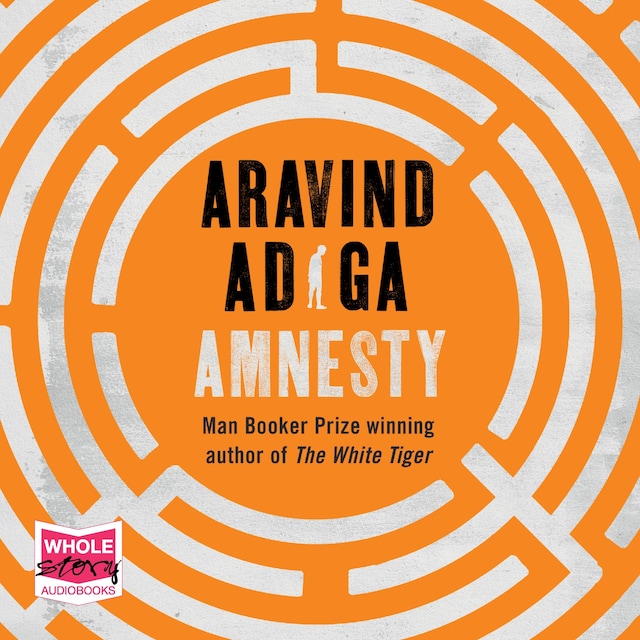 Book cover for Amnesty