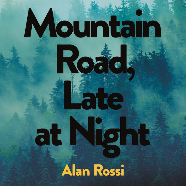 Copertina del libro per Mountain Road, Late at Night