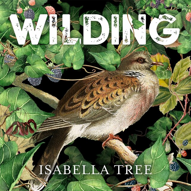 Book cover for Wilding