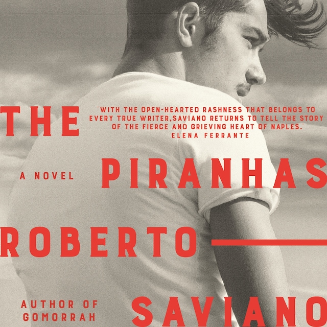 Book cover for The Piranhas
