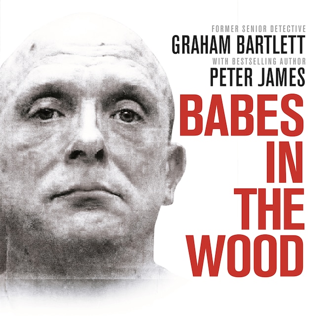 Book cover for Babes in the Wood