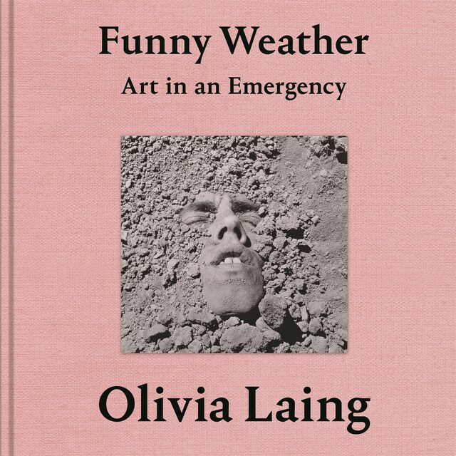 Couverture de livre pour Funny Weather