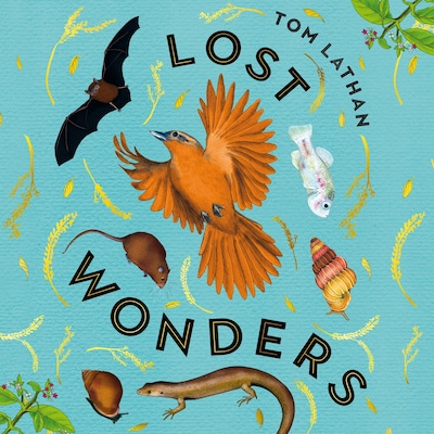 Lost Wonders