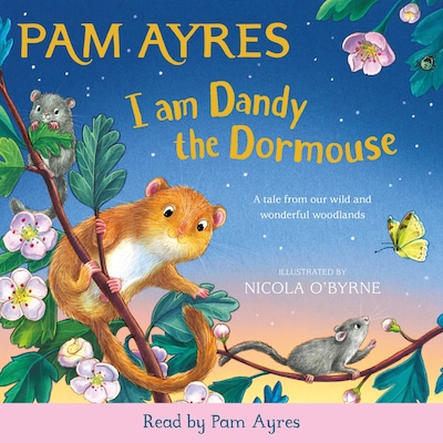 I am Dandy the Dormouse