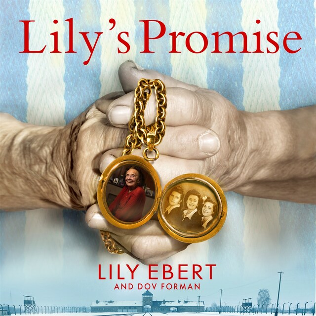 Book cover for Lily's Promise