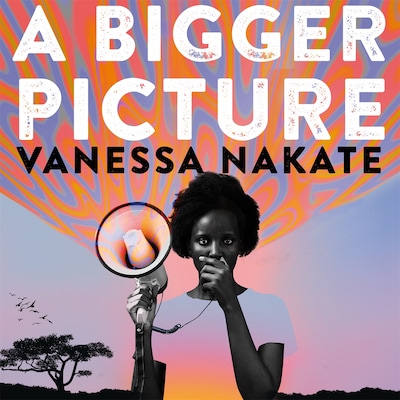 A Bigger Picture