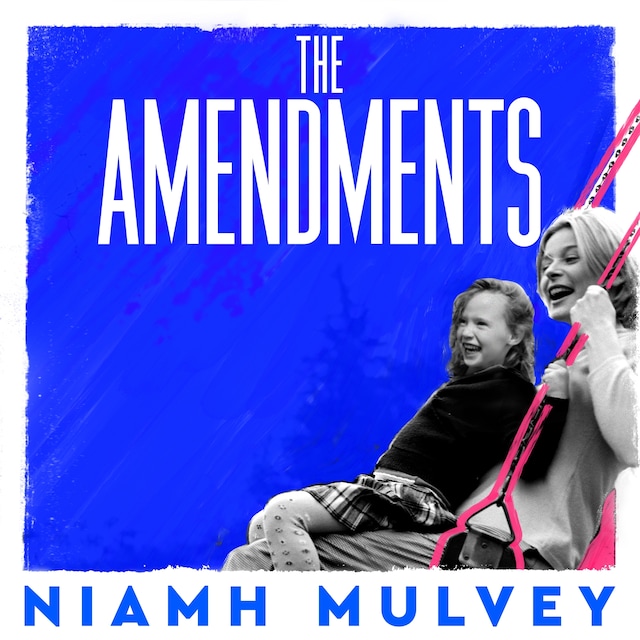 Book cover for The Amendments