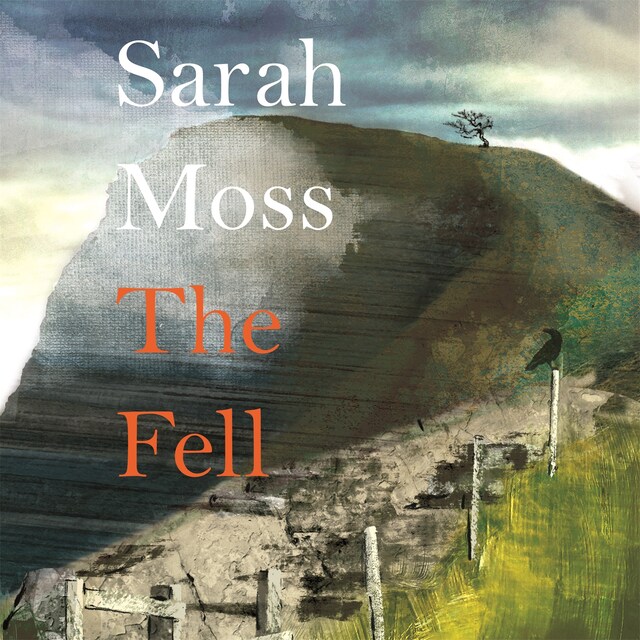 Book cover for The Fell