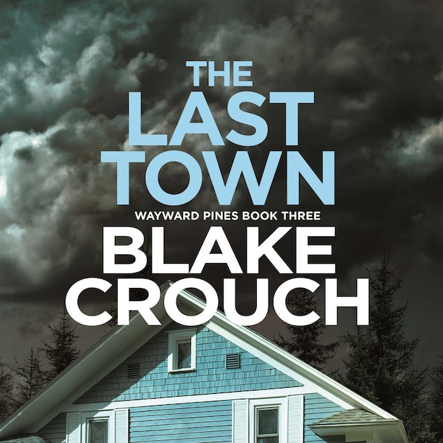 Book cover for The Last Town